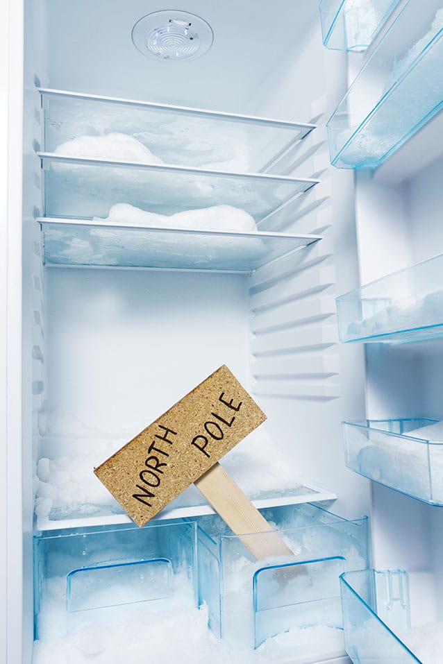 Interior de un frigorífico con hielo